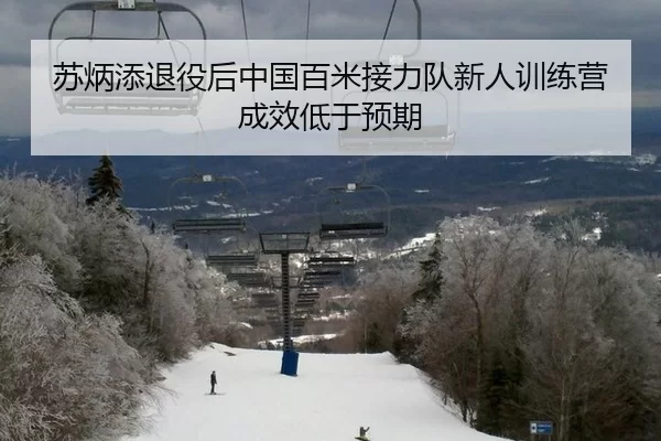 苏炳添退役后中国百米接力队新人训练营成效低于预期